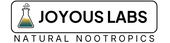 Joyous Labs 